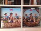 PINK FLOYD LP PICTURE DISC -the great gig in the sky- MINT