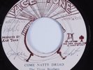 Reggae 45 THREE BROTHERS Come Natty Dread ACE TONE VG+ HEAR