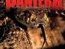 The Great Southern Trendkill by Pantera (Vinyl, Jul-2012, 2 Discs, Rhino (Label5