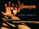 VENGEANCE - Human Sacrifice (NEW*LIM.300*US WHITE THRASH METAL+5 BONUS*D.ANGEL)