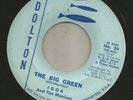 HALLOWEEN MONSTER bw/ INSTRO-  IGOR & the MANIACS - the BIG GREEN -HEAR- DOLTON
