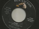 DOOWOP DEATH EXECUTION - SWEET-SICK TEENS -- AGNES  -HEAR- 1961 RCA