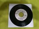 The Beatles With Tony Sheridan ?– Sweet Georgia Brown,45-6302, Promo