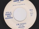 Jim Scott with The Crusaders 