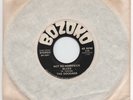 THE DOODADS - NOT SO HOMESICK BLUES - PRIVATE GREEK/AMERICAN ORIGINAL 7