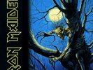 Fear of the Dark by Iron Maiden (Vinyl, May-2017, Sanctuary (USA))