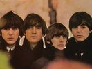 The Beatles: Beatles For Sale (Mono: 180GV) LP