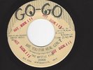 OHIO 60's GARAGE/PUNK- THE MYSTIC FIVE- 