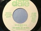 Dick Wagner and The Frosts “Sunshine” “Little Girl” PROMO 45