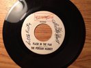 LOUISIANA GARAGE 45 THE PERSIAN MARKET FLASH IN THE PAN LIGHTNING 103 VG+ HEAR