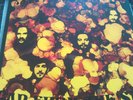 Vinyl LP: Siena Root ?– Far From The Sun (2015), Gatefold-Cover