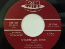 Rare Rockabilly Garage Johnny Chester 45 Shakin' ll Over