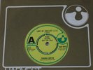 PANAMA LIMITED Lady Of Shallott (Harvest UK Original DEMO 7