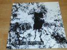 ESPLENDOR GEOMETRICO - EL ACERO DEL PARTIDO - LP (INDUSTRIAL)