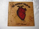 KT Tunstall Scarlet Tulip ep 10