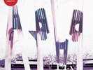 Mature Themes [VINYL] Ariel Pink's Haunted Graffiti Vinyl
