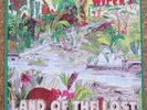 Wipers - Land Of The Lost LP vinyl record 1986 Enigma