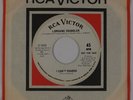LORRAINE CHANDLER: I Can’t Change RCA Northern Soul DJ Promo 45 NM- HEAR