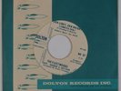 THE FLEETWOODS: Ska Light, Ska Bright USA Fleetwood DJ PROMO 45 NM- Popcorn