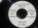RAY MURRAY I Never Knew RARE FLEETWOOD DOO WOP GROUP PROMO 45 ROCKER Warm HEAR