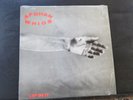 The AFGHAN WHIGS 
