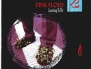 Pink Floyd - Learning To Fly 7