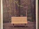 Streetlight Manifesto The Hands That Thieve 2x12