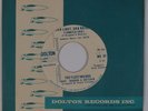 THE FLEETWOODS: Ska Light, Bright DOLTON Popcorn 45 Promo NM-