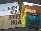 FatBoy Slim - Right Here Right Now & Gangster Trippin  12