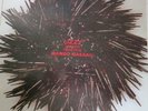 Lizzy Mercier Descloux ?– Mambo Nassau – original LP