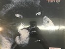 FLUFFY Black Eye NEW Sealed 1996 LP Produced By Bill Price Clash Sex Pistols