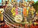 The Beatles - SGt. Peppers Lonely Hearts Club Band        Picture Disc
