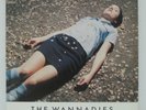 THE WANNADIES - Bagsy Me LP 1996 UK ORIG INDOLENT CARDIGANS CRANBERRIES INDIE