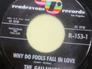 THE GALLAHADS Why Do Fools Fall In Love 45 RENDEZVOUS 153 DOO-WOP EX MINT- 1961