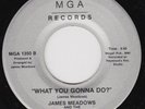 JAMES MEADOWS What You Gonna Do RARE gospel boogie 45 deep soul modern soul HEAR