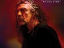 Robert Plant - Carry Fire Vinyl LP (2) Nonesuch NEW