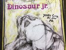 DINOSAUR JR.   YOURE LIVING ALL OVER ME 1987 US LP PURPLE SWIRL VINYL SST 130