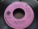 Rare Northern Soul PROMO 45 THE REVEALERS THEY HAD A PARTY AT THE WATERGATE VG++