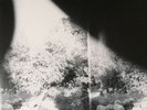 Godspeed You   Black Emperor Vinyl, Asunder Sweet And Other Distress. LP 180 gm.
