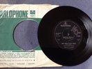 THE FALLING LEAVES - SHE LOVES TO BE LOVED rare UK 1965 / FREAKBEAT / MOD