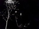 UNDER A FUNERAL MOON  VINYL LP NEW