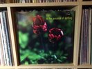 Lilys in the presence of nothing Rare Spinart Records Lp