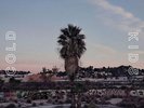 Cold War Kids - L.A. Divine