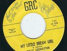 LA Rocker Billy Ledbetter GRC 105 Stealing hubcaps / My little dream girl ?