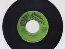 VICTORIUS STEPPERS/ SHADDAI CHILDREN - VICEROYS (76 REGGAE ROOTS 7