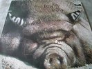 Kin Ping Meh LP, No. 2, orig. Zebra 1972, D, Super seltener Krautrock, Inlett