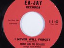 Doo Wop R&B 45 SAMMY & DEL-LARKS I Never Will Forget EA-JAY HEAR