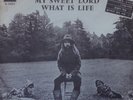 GEORGE HARRISON-my sweet lord -rare israeli diff1 st. pressing 7