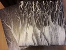RADIOHEAD, THE KING OF LIMBS, 2 x 10