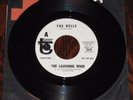 LAUGHING WIND 1967 PSYCH GARAGE West Coast Pop Art Experimental Band Promo NM